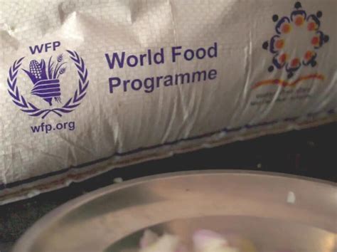 World Food Programme Internship Funded The Oyi Travels