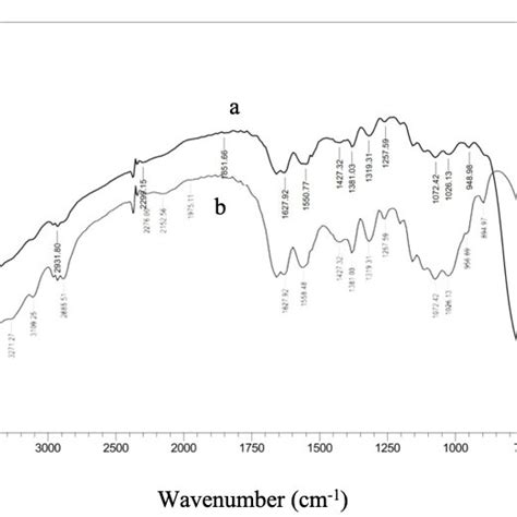 Ft Ir Spectra For Chitosan Ti Zro 2 A And Chitosan Zro 2 B