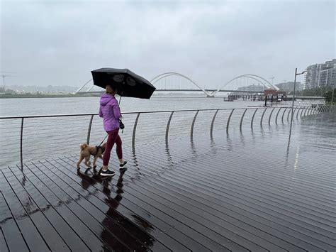 D.C.-area forecast: Rain tapers to drizzle today; cloudy and cool ...