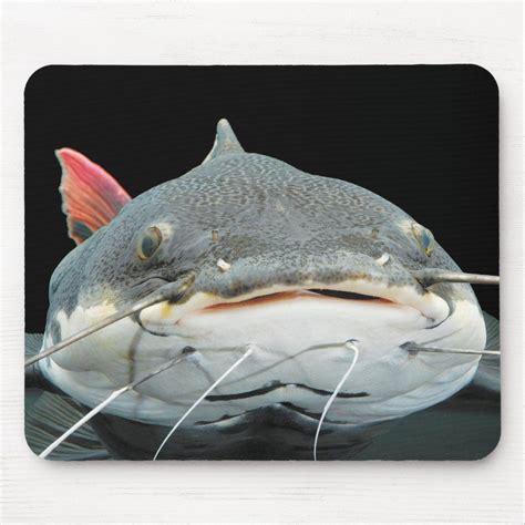 レッドテールキャットフィッシュのマウスパッド Mouse Pad Zazzle Mouse Pad Fun Mouse Pad