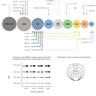 Molecular Oncogenic Driver Aberrations And Targeted Therapies Graphic