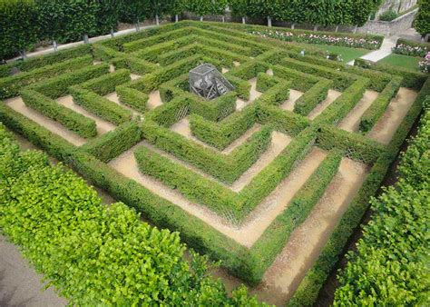 Le labyrinthe dans les jardins du château de Villandry 37