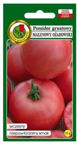 Pomidor gruntowy Malinowy Ożarowski 10 g Pnos ogrodnik24 pl