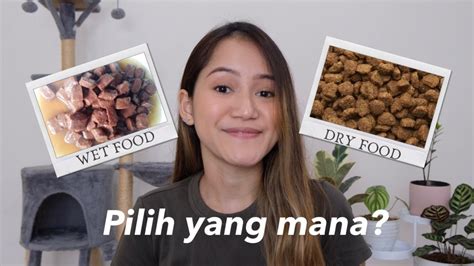 WET FOOD VS DRY FOOD MAKANAN KUCING Pilih Yang Mana YouTube