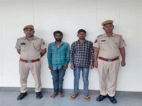 Criminals Nabbed In Dausa 54 Arrested दौसा में बदमाशों की धरपकड़ 54