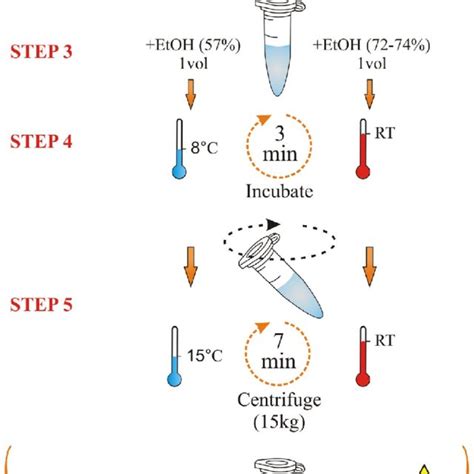 Selective Precipitation Of Rna Following The Main Protocol With Some