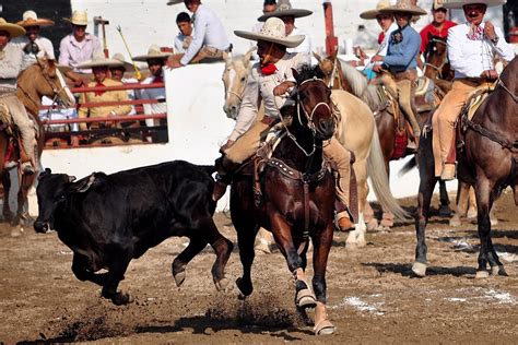 A Guide To Charrería Mexicos National Sport