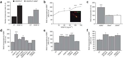 Proliferative Effect Of Vegf C On Optic Nerve Opcs A Increase As A