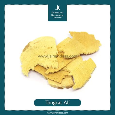 Learn How Tongkat Ali Is Beneficial For Generic Health Jairamdass