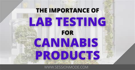 The Importance Of Lab Testing For Cannabis Products Session Mode