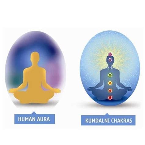 Aura And Chakra Healing Services At ₹ 40000piece In Hyderabad Id