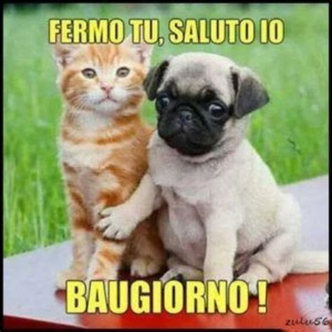 Buongiorno Amici Frasi Immagini E Video Dediche Di Buona