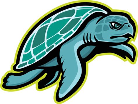 Olive Ridley Sea Turtle PNG Transparent Images Free Download | Vector ...