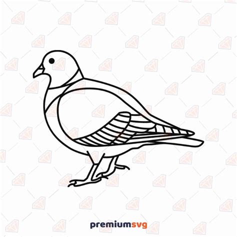 Pigeon Svg Line Drawing Pigeon Svg Premiumsvg