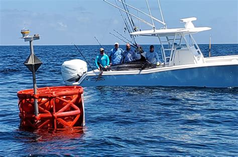 Two Fish Aggregating Device Fad Buoys Redeployed Off Coast Of Destin