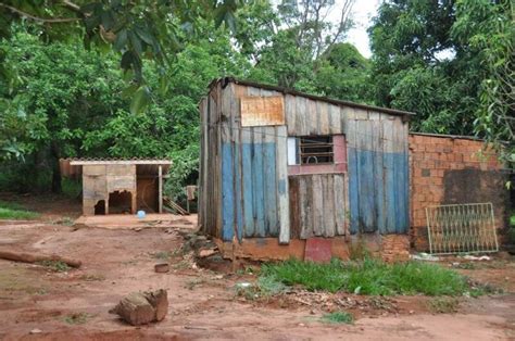 Idoso Atacado Por Abelhas Enquanto Limpava Quintal Na Vila Morumbi