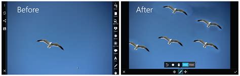 Step By Step Tutorial On Photo Editing With The Clone Tool In PicsArt