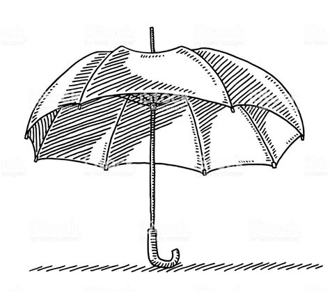 Hand Drawn Vector Drawing Of An Open Umbrella Black And White Sketch Umbrella Drawing