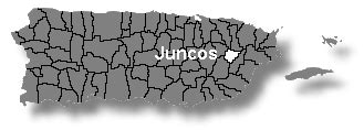 Juncos Puerto Rico Map