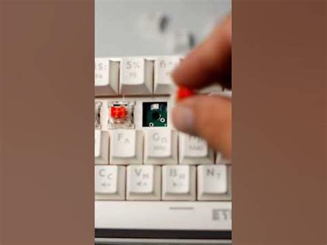 Мембранка и механика. В чем отличия? ⌨️🖥️ - YouTube