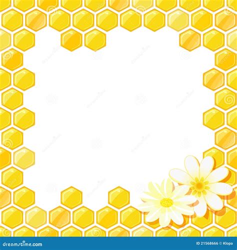 Honeycomb Frame Template White Plastic Border On A Transparent