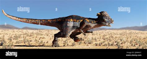 Pachycephalosaurus Dinosaur Running In A Desert Landscape D Paleoart