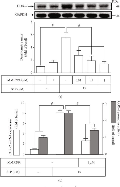 Figure From Sphingosine Phosphate Upregulated Cox Pge System