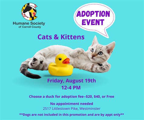 Cat and Kitten Adoption Event - Humane Society of Carroll County