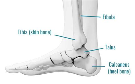 Posterior Ankle Impingement Symptoms Tests And Treatment