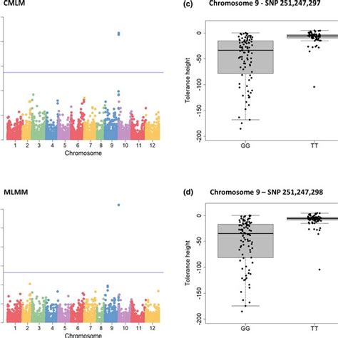 Genome‐wide Association Studies Gwas Of Potato Virus Y Height