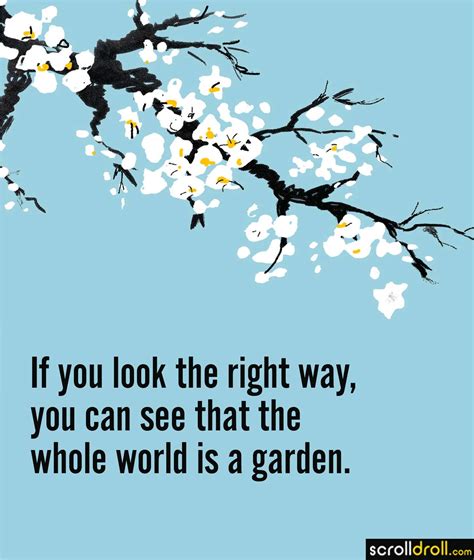 16 Beautiful Ikigai Quotes That Could Change Your Life