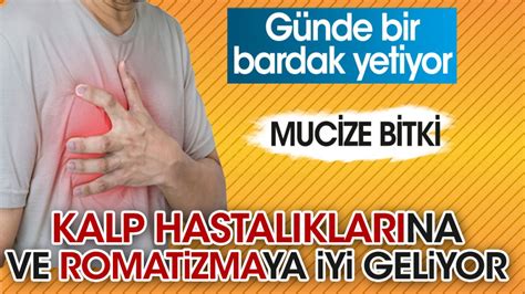 Kalp hastalıklarına ve romatizmaya iyi geliyor Günde bir bardak yetiyor