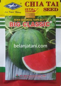 Semangka Big Classic Murah Jual Harga Terbaru Belanja Tani