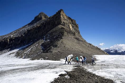 Onu Unesco Patrimonio Mundial Desde Kilimanjaro Hasta Yellowstone