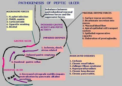 10 PUD ideas | nursing school, peptic ulcer, nurse life