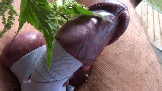 Penis Longer Bdsm Torture Electro Cum Milking Gay Porn Xhamster