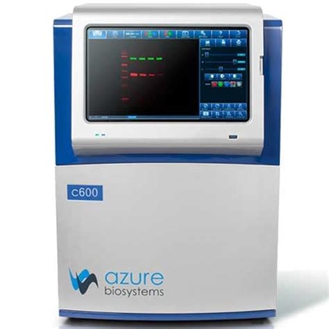 Western Blot Normalization With Azure Biosystems
