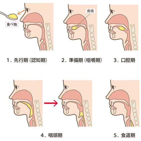 高齢者｜与田病院附属ふじと台クリニック