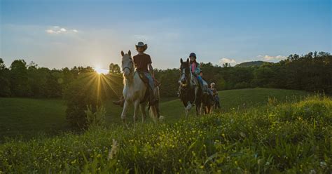 Horseback Riding Fannin County Chamber Of Commerce Blue Ridge Georgia