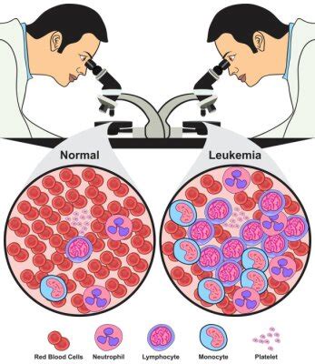 Oxidation And Reduction Infographic Diagram Chemistry Science Fotomural