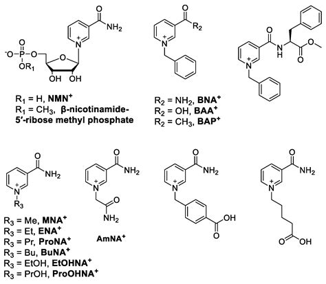 Catalysts Free Full Text Cofactor And Process Engineering For