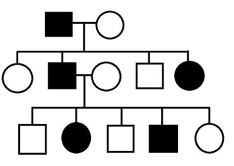 Genetics L14 Interpretation Of Pedigrees Flashcards Quizlet