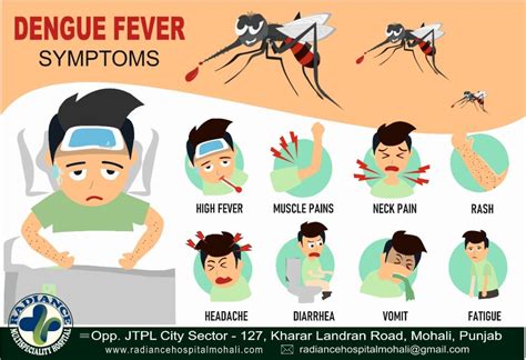 Dengue Fever Symptoms