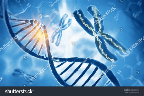 Dna Doppelhelix Moleküle und Chromosomen 3D Abbildung