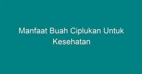 Manfaat Buah Ciplukan Untuk Kesehatan Geograf