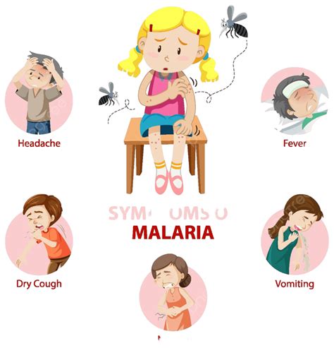 Infográfico De Informação De Sintoma De Malária Infográfico De Elemento