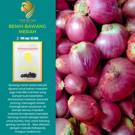 Jual Btn Benih Bawang Merah Lokananta Cap Panah Merah Bibit Tanaman