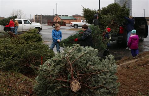 Boy Scouts Continue Christmas Tree Pickup Tradition Mlive