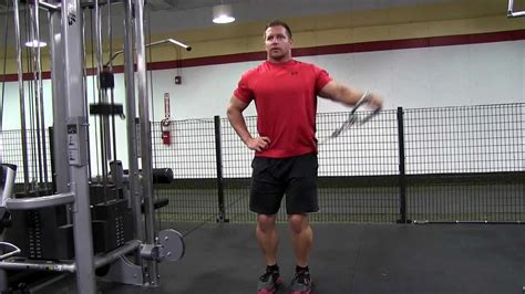 Pulley Lateral Raise OFF 62