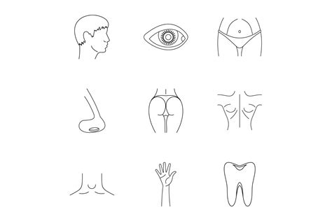 Body Icons Set Outline Style Graphic By Ylivdesign · Creative Fabrica